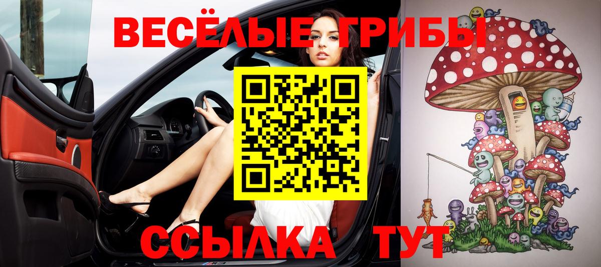Псилоцибиновые грибы Magic Shrooms  Вход с VPN  Черкесск 